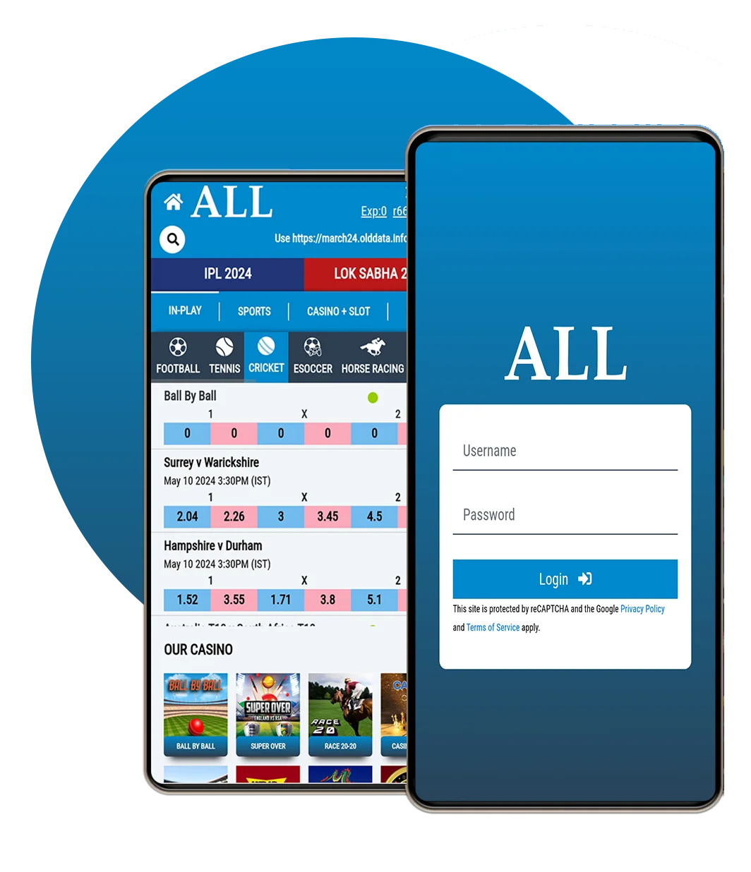 Exploring the All Paanel Betting Platform